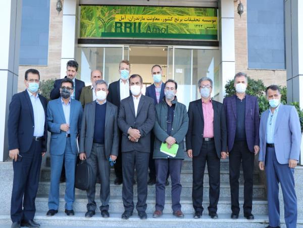 جلسه برنامه ریزی طرح افزایش فراوری برنج